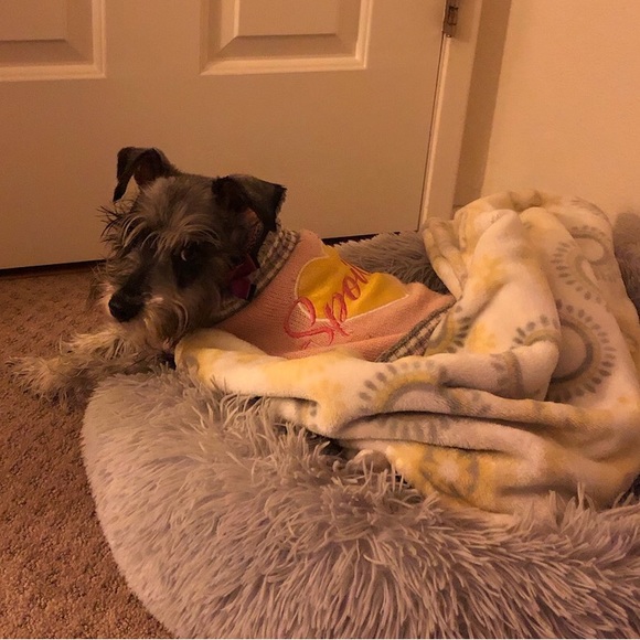 Meet your Posher, Sara - Picture 4 of 5